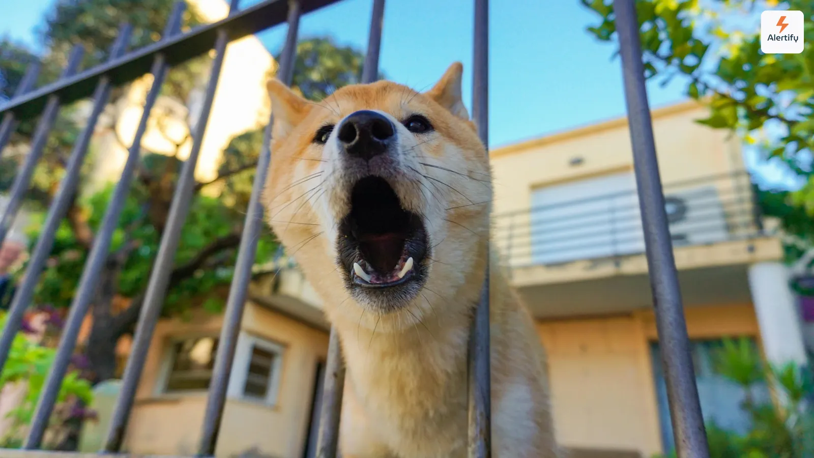 Cane che abbaia tra le sbarre di una recinzione davanti a una casa residenziale