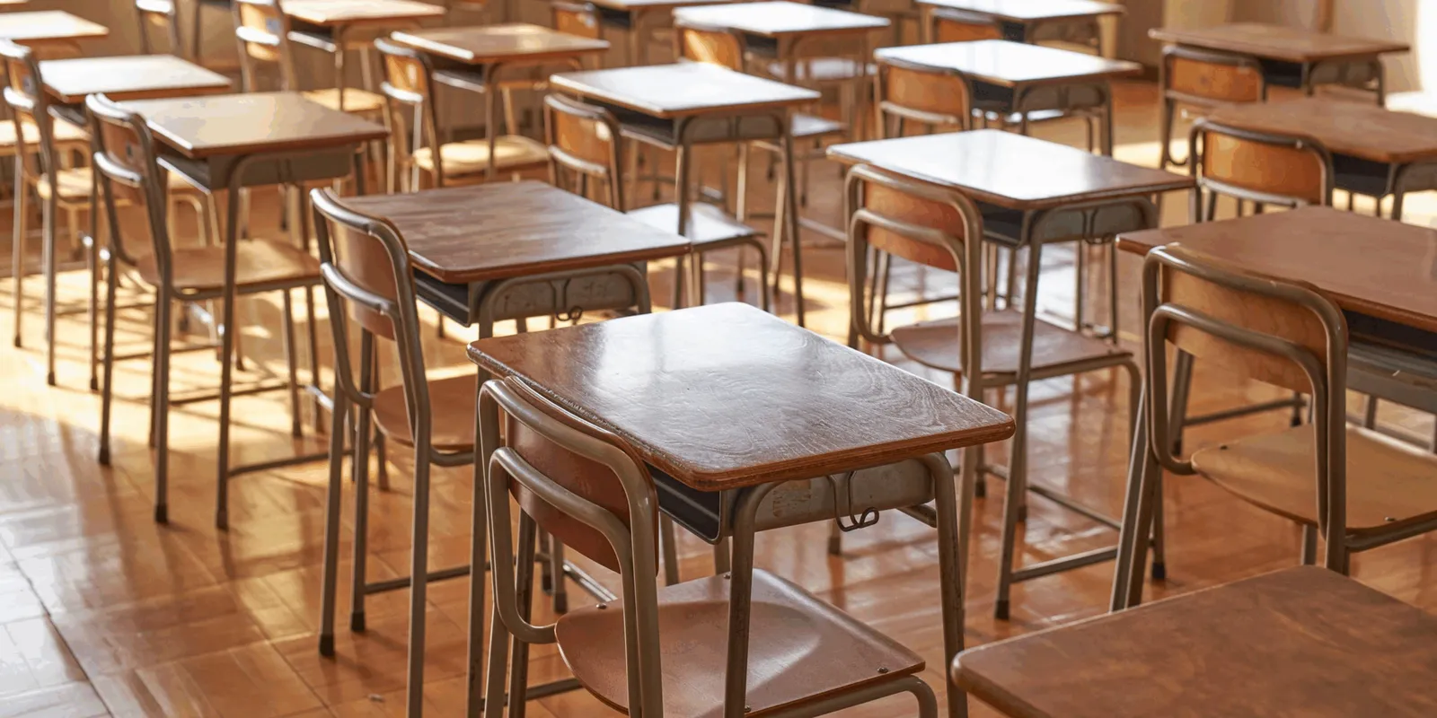 Cosa si nasconde nell'aria? Guida su PM2,5 e VOC per le scuole, principali inquinanti dell'aria nelle scuole